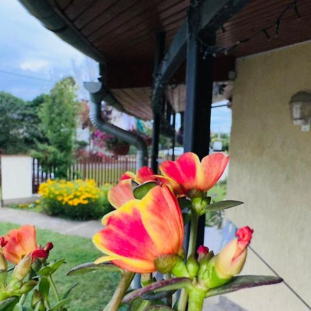 Cozy Garden Apartman Διαμέρισμα Gyula Εξωτερικό φωτογραφία